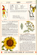 Phenomenon Calendar 1979